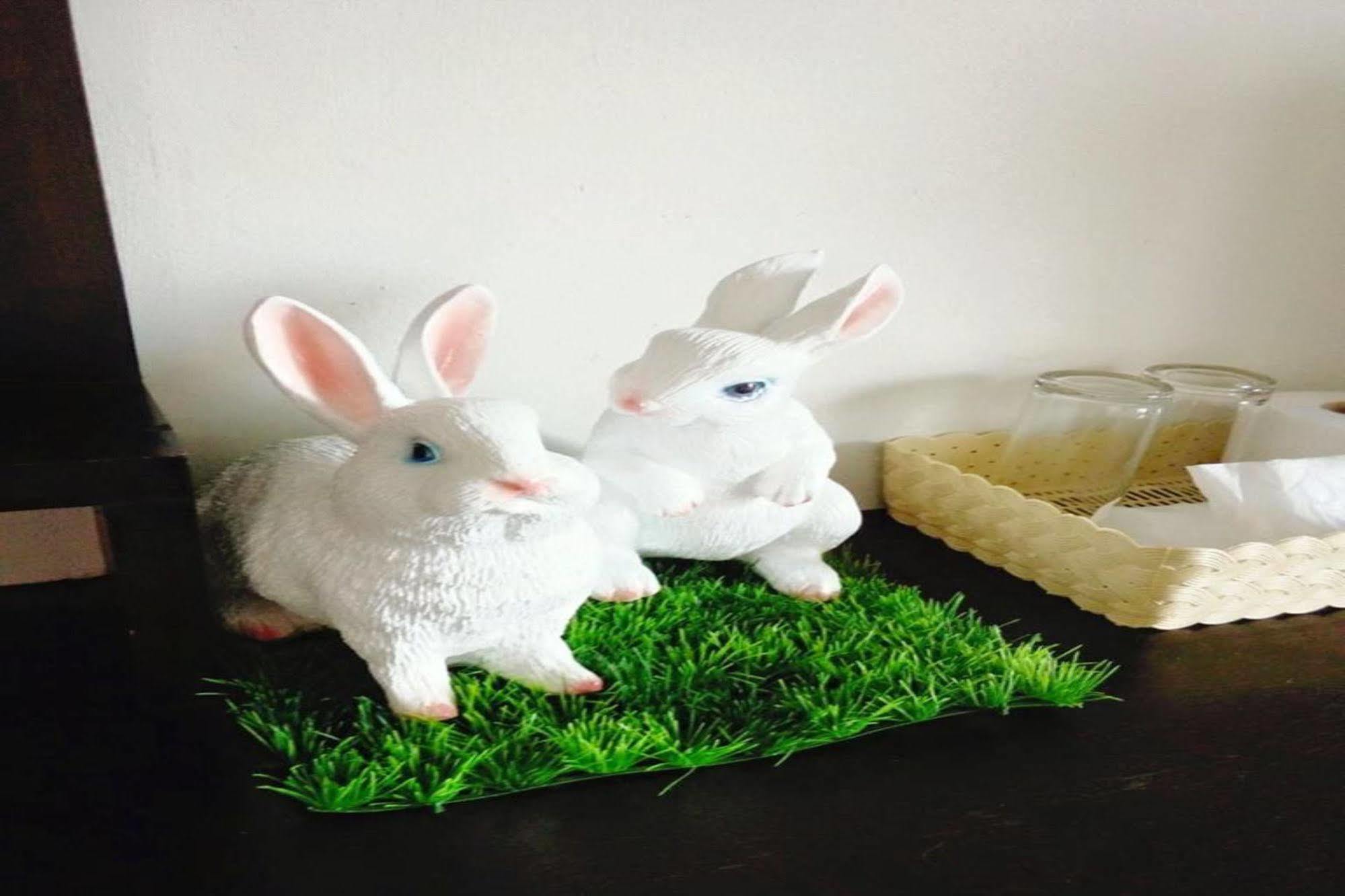 Thung Song Cozy Rabbit Hotel מראה חיצוני תמונה